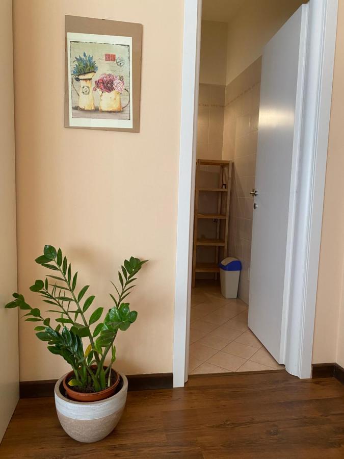 Bed & Breakfast Sogni E Colori Villanova d'Albenga